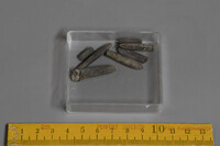 F 02375
<br/>
<br/>
<em></em>